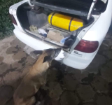 El can “Faruk” detecta 105 kilos de cocaína con destino Argentina