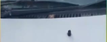 Acribillan a una persona, Policía sospecha ajuste de cuentas