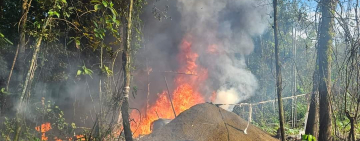 La lucha antidroga no se detiene a pesar de los bloqueos de Evo Morales