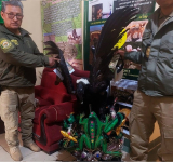 Inician proceso contra fraterno que usó piezas de cóndor en su traje folclórico 