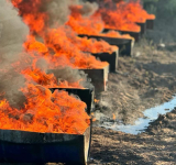 UNODC certifica incineración de casi media tonelada de cocaína