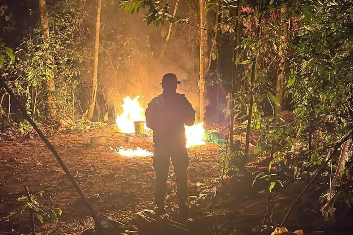 Desmantelan 26 fábricas e incautan 88 kilos de marihuana en límite con Chile