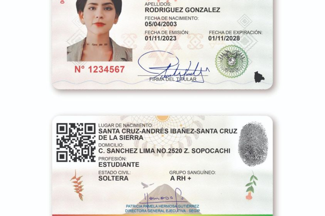 Decreto viabiliza “emisión automatizada” de cédulas de identidad y licencias para conducir