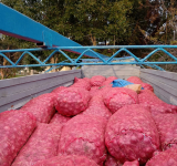 Agropecuarios y Productores elogian la lucha contra el contrabando