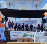 Salud distribuye pruebas rápidas y medicamentos por más de Bs 6 millones contra el Chagas