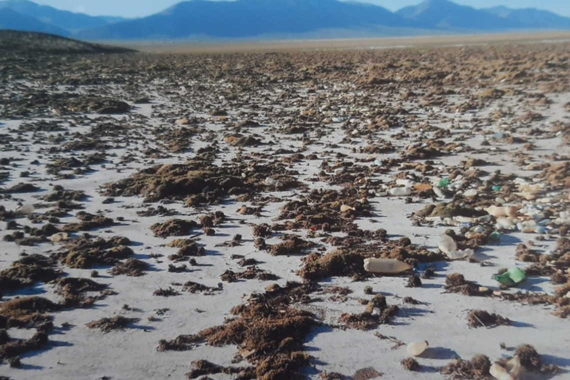 Declaran desastre ambiental en la comunidad de Tolapampa por contaminación minera