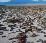 Declaran desastre ambiental en la comunidad de Tolapampa por contaminación minera