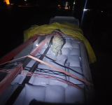 CEO comisa 1.200 sacos de maíz de contrabando transportados en tres camiones