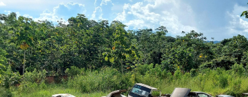 Aduana dispone 59,6 toneladas de partes de vehículos para subasta ecología