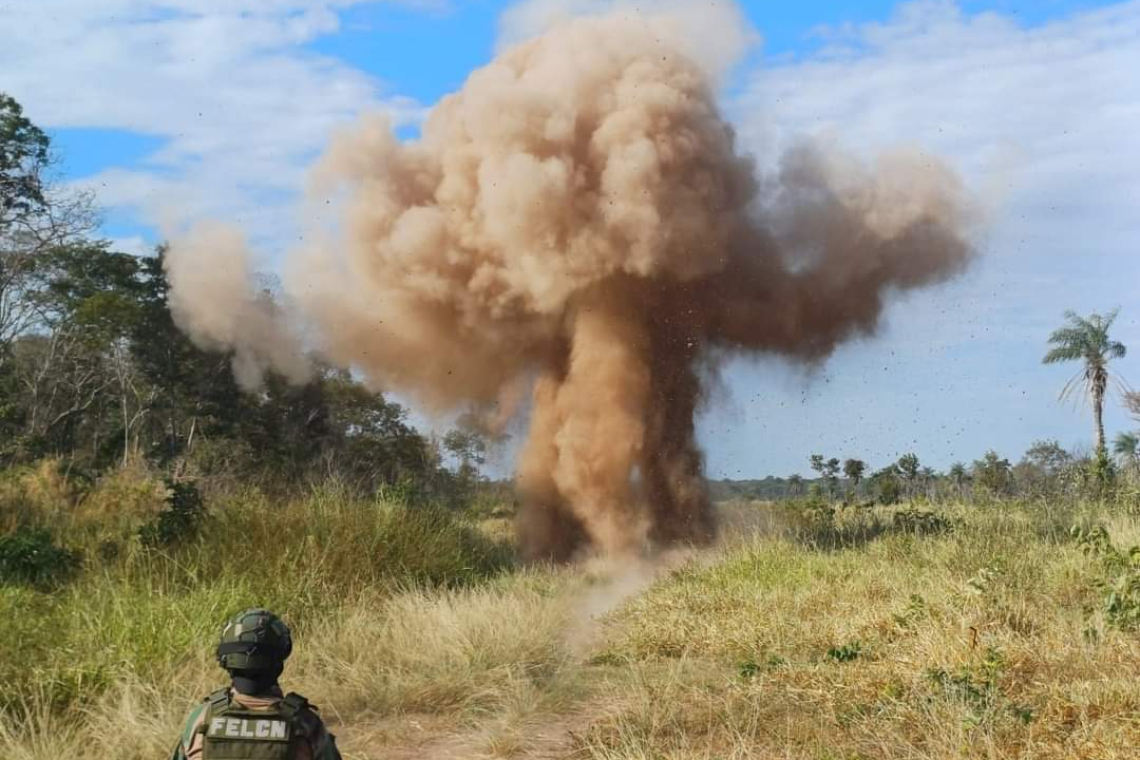 Desbaratan 6 pistas clandestinas y cuatro factorías de cocaína