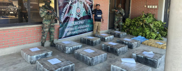 FELCN y Fiscalía detectan media tonelada de marihuana en Yapacani