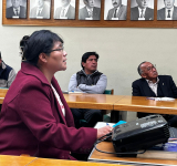 Proponen Proyecto de Ley para proteger zonas industriales de avasallamientos