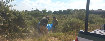 Imputará por Feminicidio a sospechoso de muerte de mujer en Okinawa