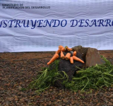 Planta procesadora de zanahoria en Soracachi tiene avance del 95%