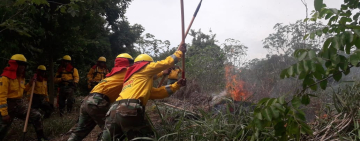 Presidente pondera misión del CCREA en mitigar incendios forestales