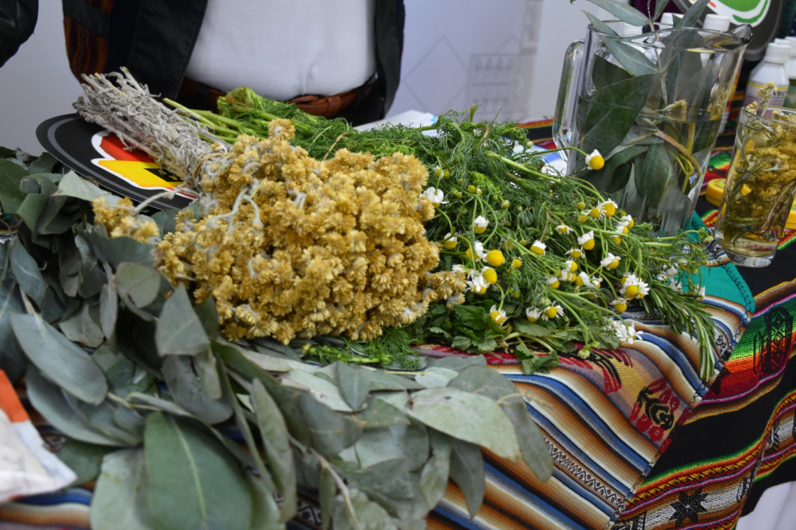 Lanzan feria de fortalecimiento de la medicina tradicional que reúne a 40 expositores