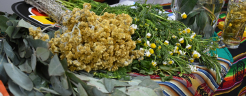 Lanzan feria de fortalecimiento de la medicina tradicional que reúne a 40 expositores