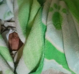 Dos recién nacidos fueron abandonados, uno de ellos estaba en una caja de cartón