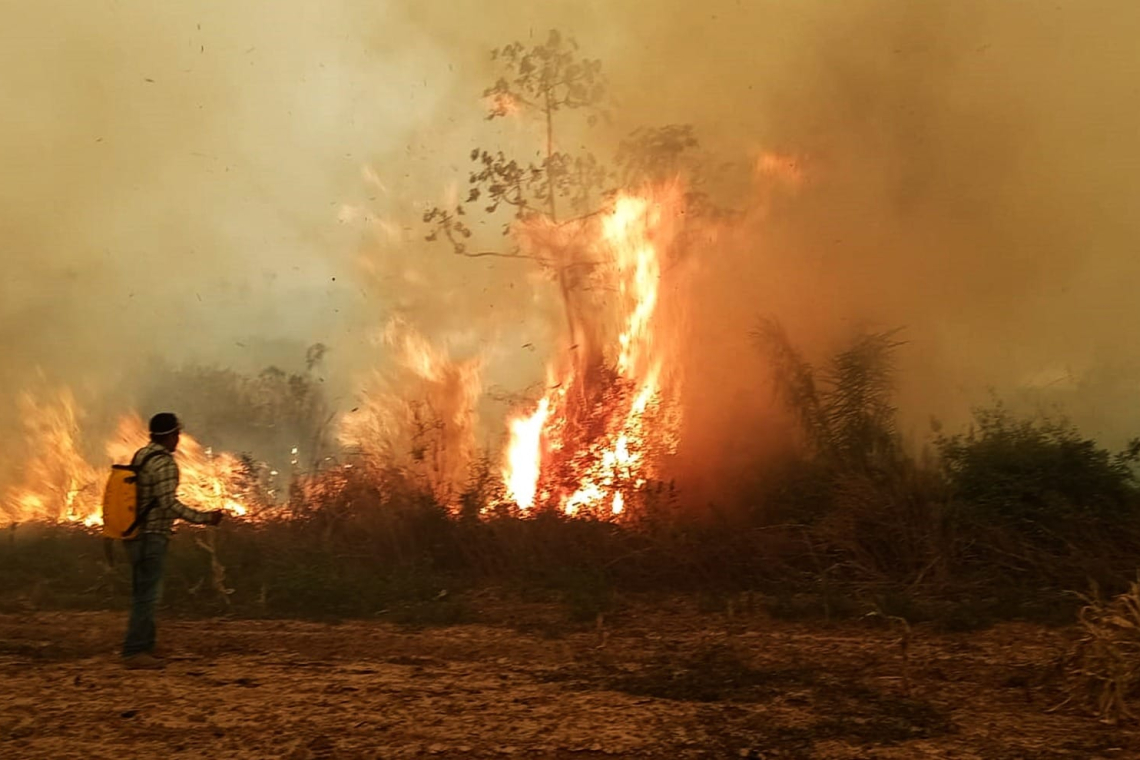Incendios forestales: un delito que no para