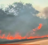 Fiscalía-Policía priorizan dar con asesinos del medio ambiente y la naturaleza
