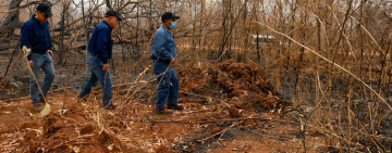 ENTEL realiza inspección técnica en localidades de la Chiquitania afectadas por incendios forestales 