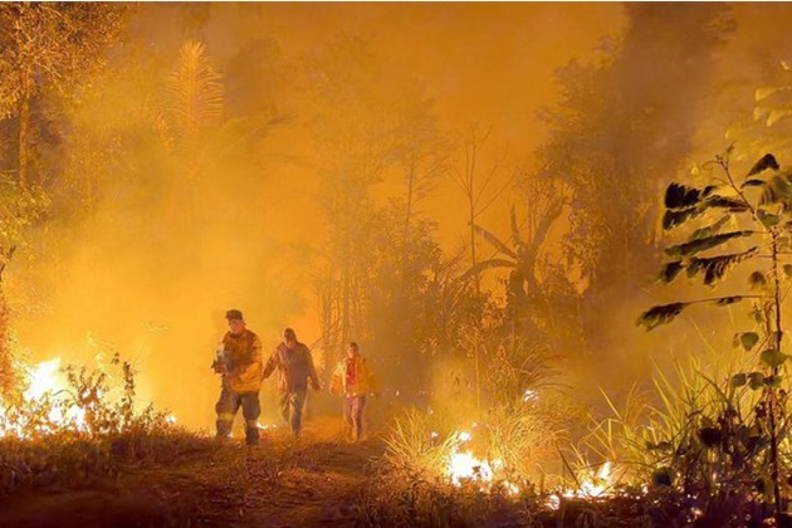 Controlar las plantas secas y eliminar las quemas