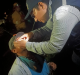 En lucha contra incendios forestales brigadas realizaron 14. 103 atenciones