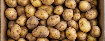 Cómo guardar las papas en la cocina para evitar brotes y alargar su vida útil