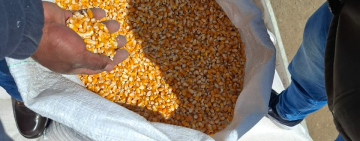 En golpe al contrabando Patrulla Militar comisa alimentos en Bs 100.000