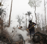 Quemando el alma: Día del árbol