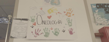 Niño de 10 años vence a la leucemia mieloide aguda gracias a trasplante cubierto por el SUS 