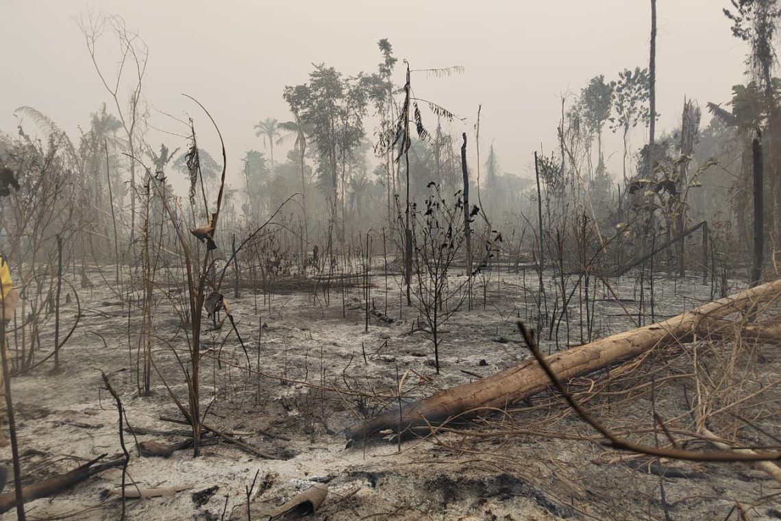 Marinos desafían condiciones extremas para sofocar incendios en Beni
