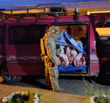 CEO afecta al contrabando de carne de cerdo con Bs540.000 cn destino Perú