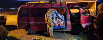 CEO afecta al contrabando de carne de cerdo con Bs540.000 cn destino Perú