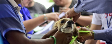 Salud recomienda medidas para prevenir casos de rabia en el país
