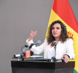 Gobierno establece vigencia de Carnet de Discapacidad por seis años