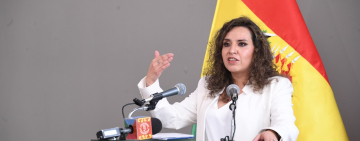 Gobierno establece vigencia de Carnet de Discapacidad por seis años