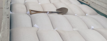 CEO-LCC comisa 400 qq de maíz valorado en Bs48.000