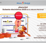 La Aduana inició la Subasta Electrónica de 800 toneladas de mercadería 