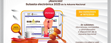La Aduana inició la Subasta Electrónica de 800 toneladas de mercadería 
