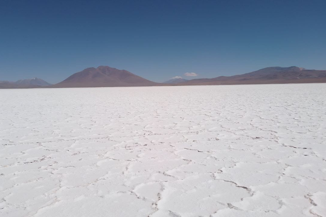 Conozca detalles del contrato de litio con Uranium One Group, firma rusa con vasta experiencia en industrialización de evaporíticos