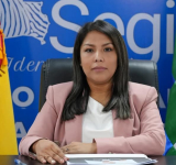 Bolivia y Chile homologarán las licencias de conducir de ambos países