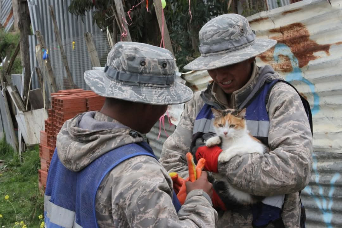  Navales salvan vidas, rescatan mascotas y recuperan bienes en Palca