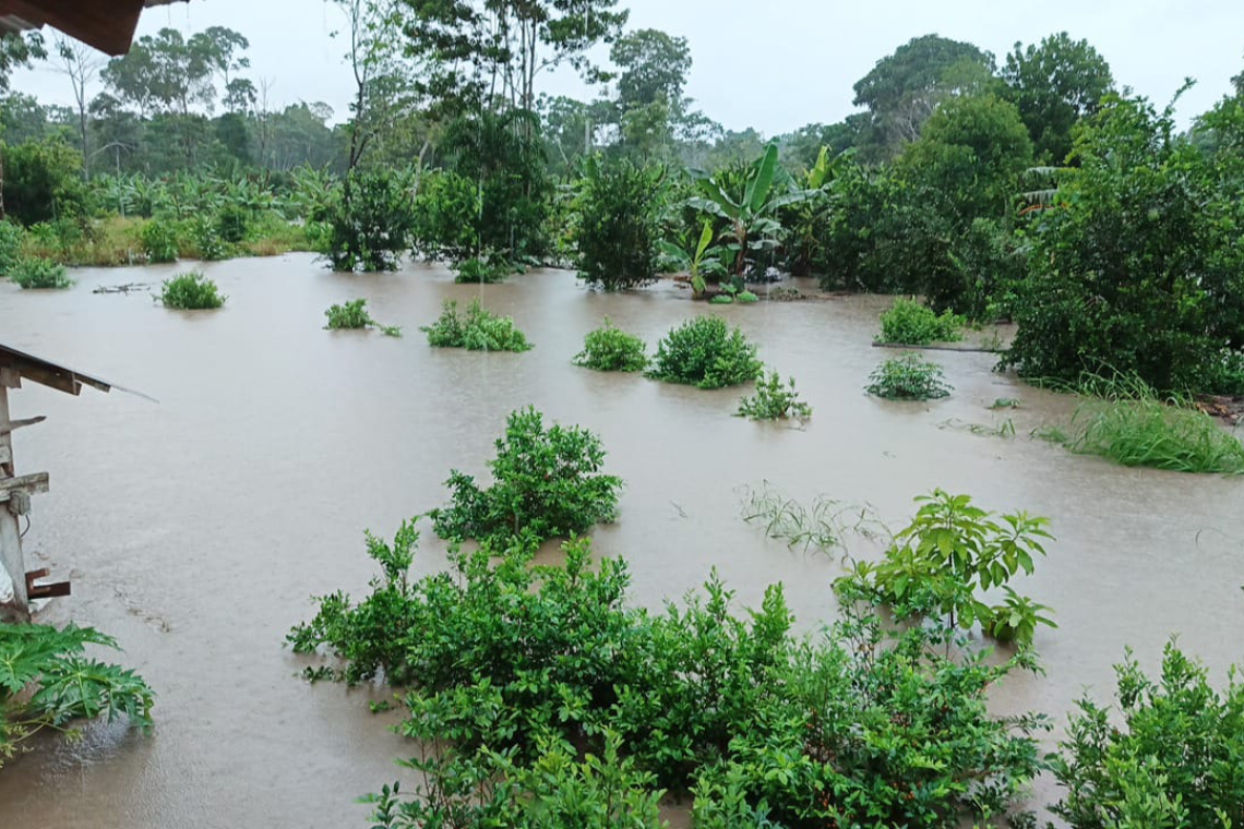 Reportan la desaparición de Edilberto Calcina en el Río Sajta
