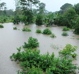 Reportan la desaparición de Edilberto Calcina en el Río Sajta