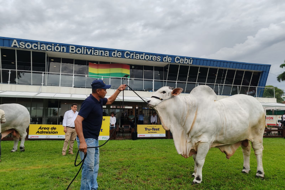 Gestionan habilitación sanitaria de carne de res boliviana para exportación a Chile