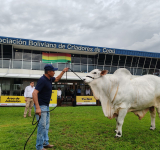 Gestionan habilitación sanitaria de carne de res boliviana para exportación a Chile