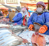 Por Semana Santa recomiendan consumo saludable del pescado