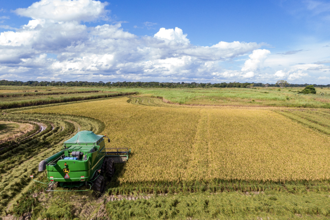 YPFB provee a arroceros de colonia japonesa 2.000 TM de urea para campaña agrícola