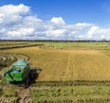 YPFB provee a arroceros de colonia japonesa 2.000 TM de urea para campaña agrícola